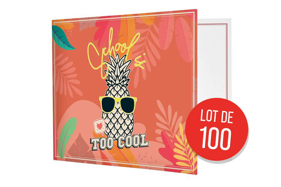  Lot 100 cartonnages scolaires, motif Ananas - NEW !